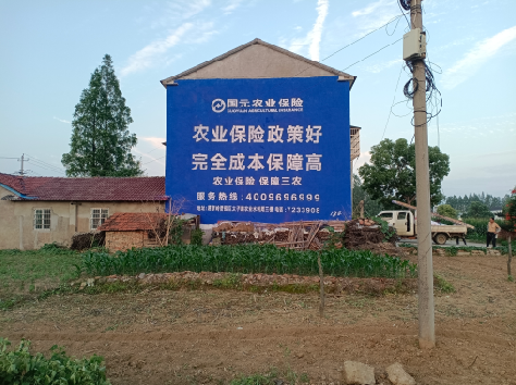 册亨墙体广告的优劣势你知道吗？